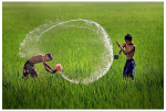Mẹo hay dành cho người dùng máy ảnh Phần 2