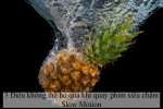 3 Điều không thể bỏ qua khi quay phim siêu chậm Slow Motion