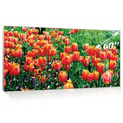 CIMA CP-60C4DMH 60" 3x2