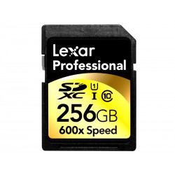 Lexar Pro 600x 256GB